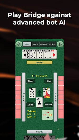 Bridge Baron Gold Screenshot 1