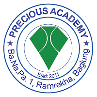 Precious Academy