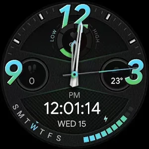 TicWatch Fatherly love Screenshot 1
