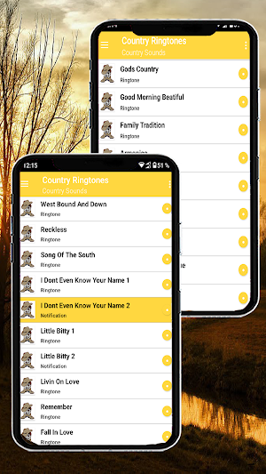 Country Ringtones Screenshot 3