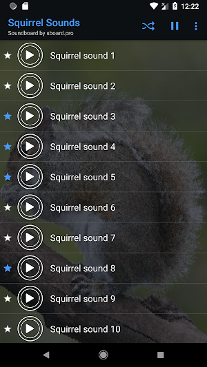 Squirrel Sounds ~ Sboard.pro Screenshot 1