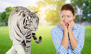 Wild Animal Photo Frames Screenshot 3