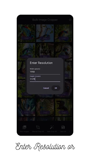 Bulk image cropper Screenshot 2