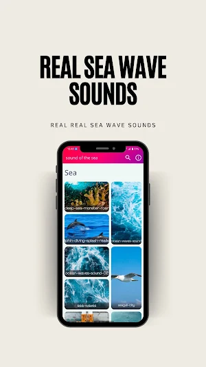 Real Sea Wave Sounds Screenshot 1