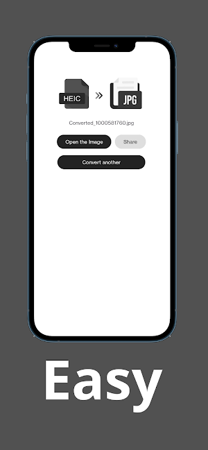 HEIC to JPG Converter Screenshot 2