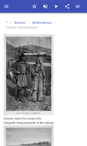 Icelandic sagas Screenshot 3