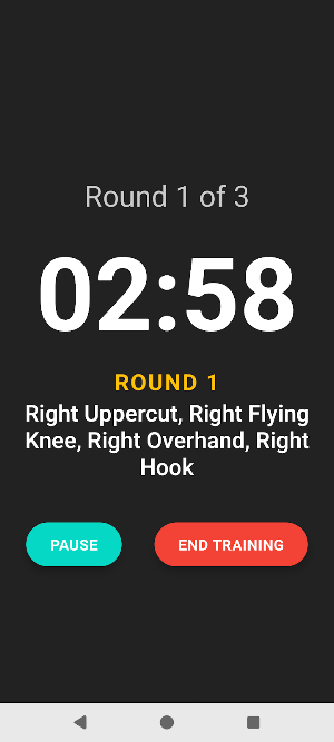 BudoBuilt combo round timer Screenshot 0