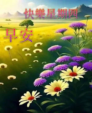 每天早安圖片 Screenshot 3