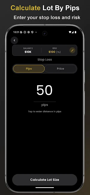 Gold Lot Size Calculator Screenshot 3