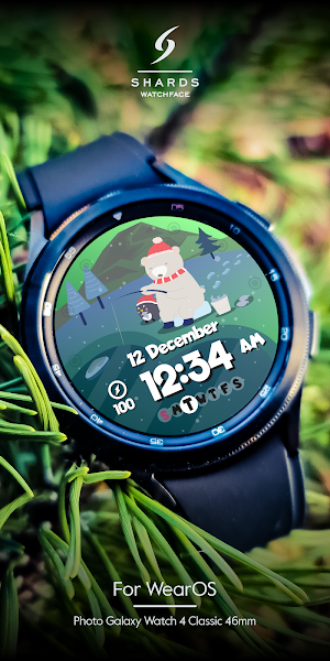 SH010 Watch Face, WearOS watch Screenshot 1
