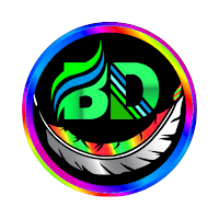 BD NET VPN - Fast And Secure