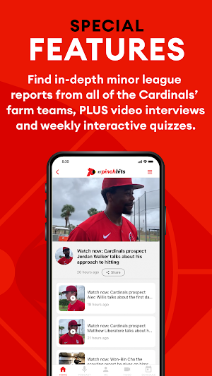 STL Pinch Hits Screenshot 2