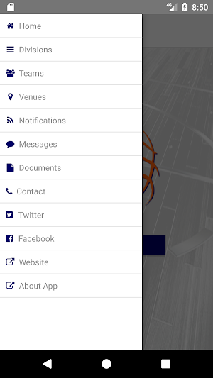 Premier Basketball Screenshot 1