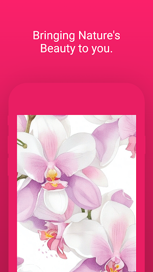 Flower Wallpaper HD Images Screenshot 2