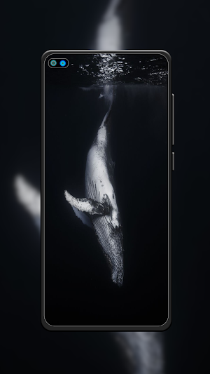 Whale Wallpaper HD Screenshot 3