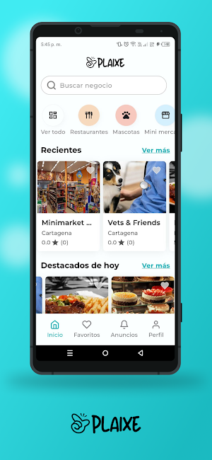 Plaixe Screenshot 2