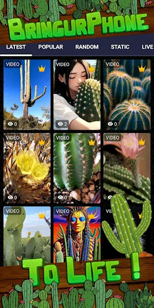 cactus wallpaper Screenshot 1