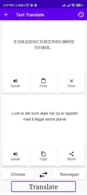 Chinese Norwegian Translator Screenshot 1