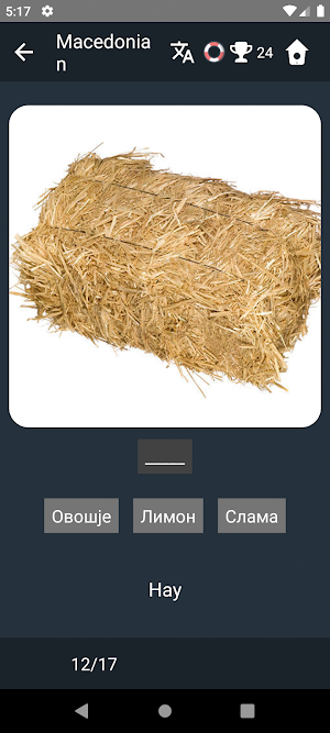 Macedonian Language Tests Screenshot 3