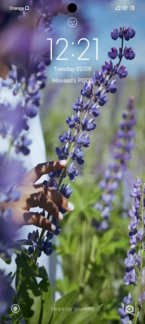 Video As Live Wallpaper Screenshot 3