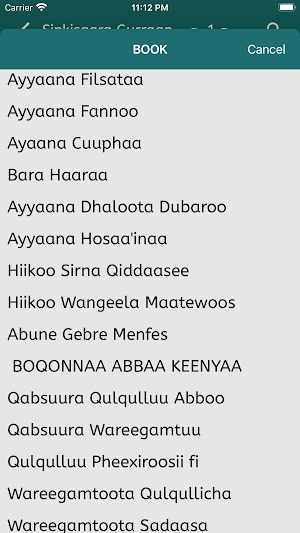 Galmee Amantaa Screenshot 0