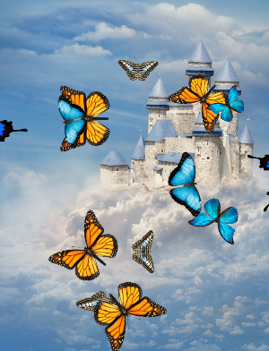 Butterflies App Screenshot 1