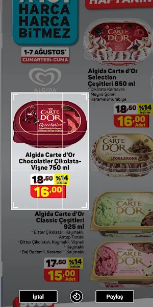 Catalog - Brochure Screenshot 3