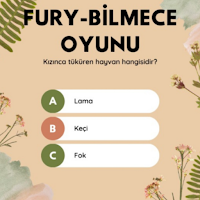 FURY Bilgi Yarışması