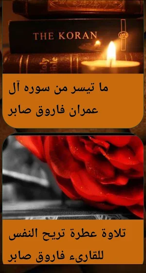 القران بصوت فاروق صابر بدون نت Screenshot 1