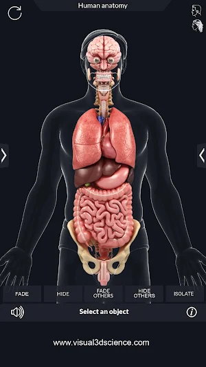 Organs Screenshot 3