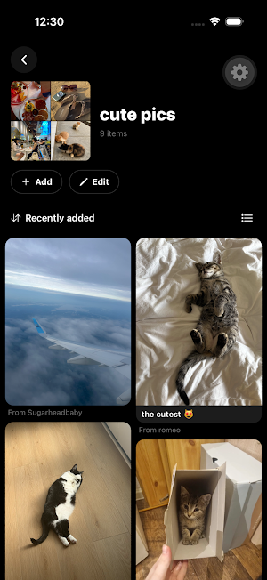 Sharespot Screenshot 2