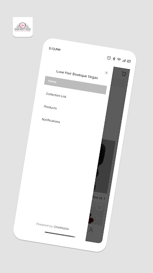 Luxe Hair Boutique Las Vegas Screenshot 1