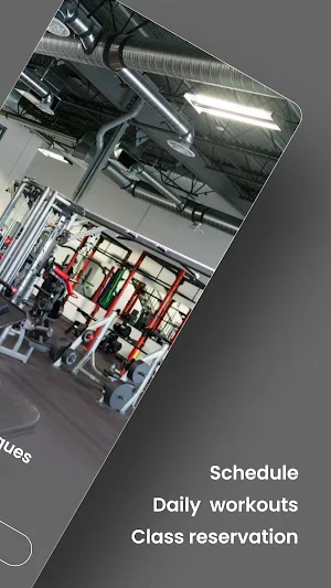 Chop Shop Physiques Screenshot 1