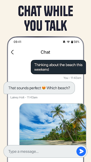 Video Meeting Screenshot 2
