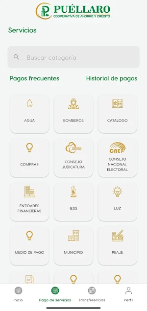 Coac Puéllaro Screenshot 2