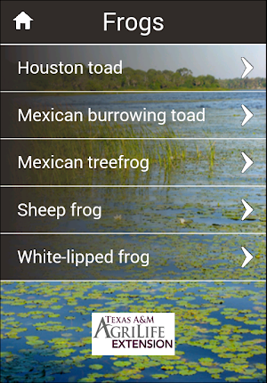 Reptiles & Amphibians of TX Screenshot 2