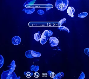 Jellyfish Theme Screenshot 0