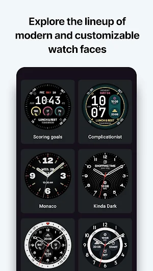 Time Flies Watch Faces Screenshot 1