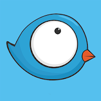 Funny Bird