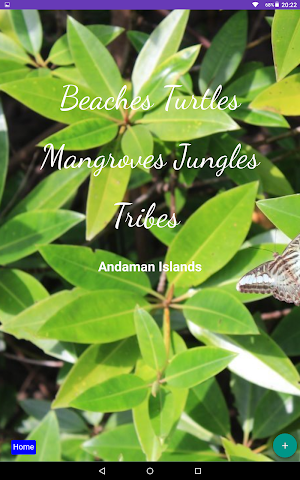 Andaman Guide. Travel Guide Bo Screenshot 3