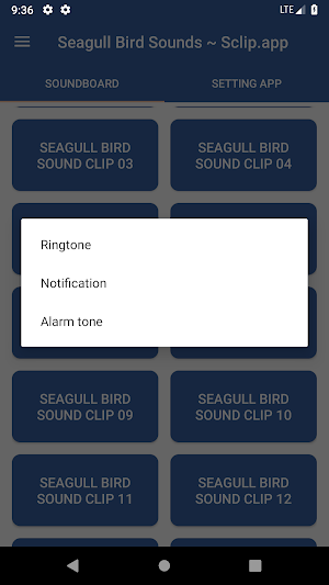 Seagull Bird Sounds ~ Sclip.app Screenshot 2