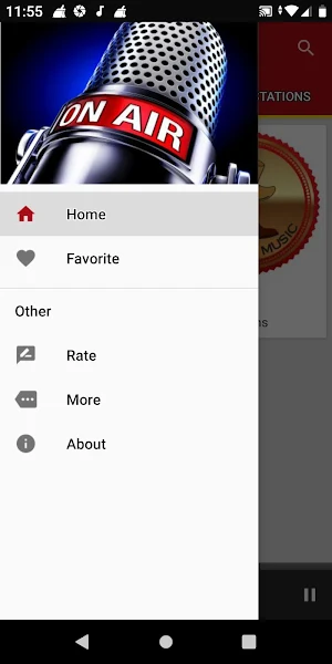 Country Music Radio Stations Screenshot 2