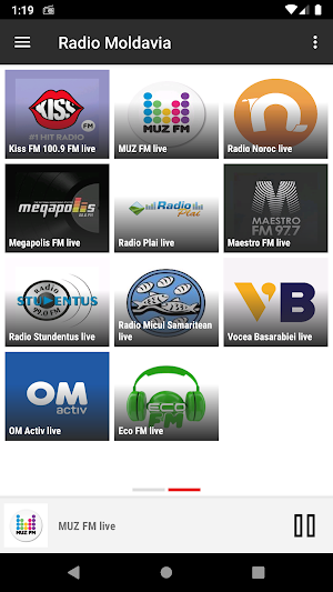 RADIO MOLDOVA Screenshot 2