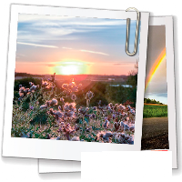 landscape wallpapers for phone