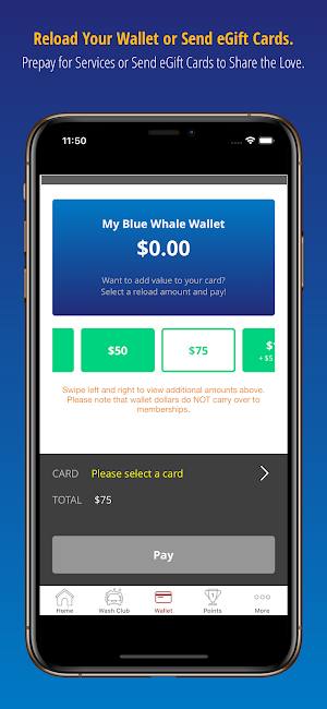Blue Whale Car Wash Screenshot 2