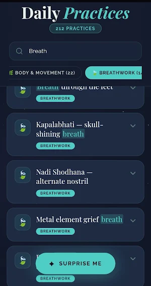 213 Well-Being Micro-Practices Screenshot 2