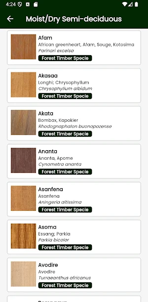 GhTimber Atlas Screenshot 2