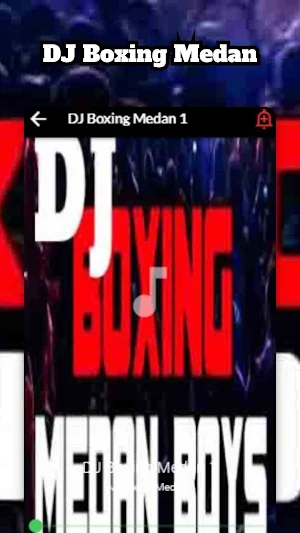DJ Boxing Medan Screenshot 3