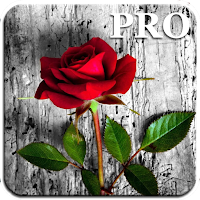 Rose Live Wallpapers PRO