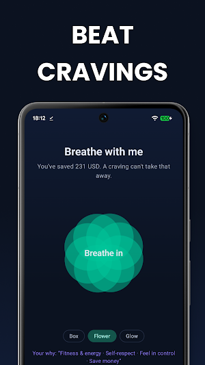 Quit Smoking, Vaping, Alcohol Screenshot 1